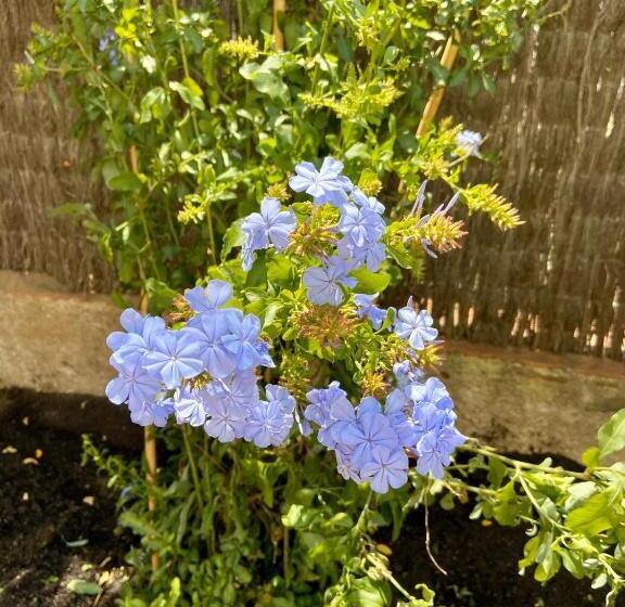 هتل Ecoturisme Mas Ribas