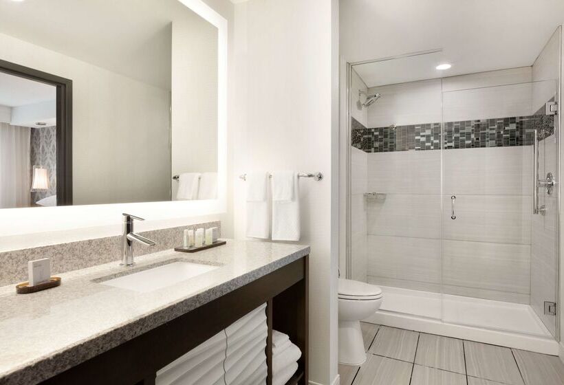 فندق Embassy Suites By Hilton Atlanta Ne Gwinnett Sugarloaf