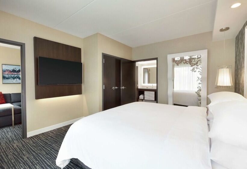 فندق Embassy Suites By Hilton Atlanta Ne Gwinnett Sugarloaf