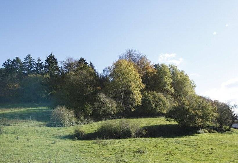 Отель Florsbacher Hof