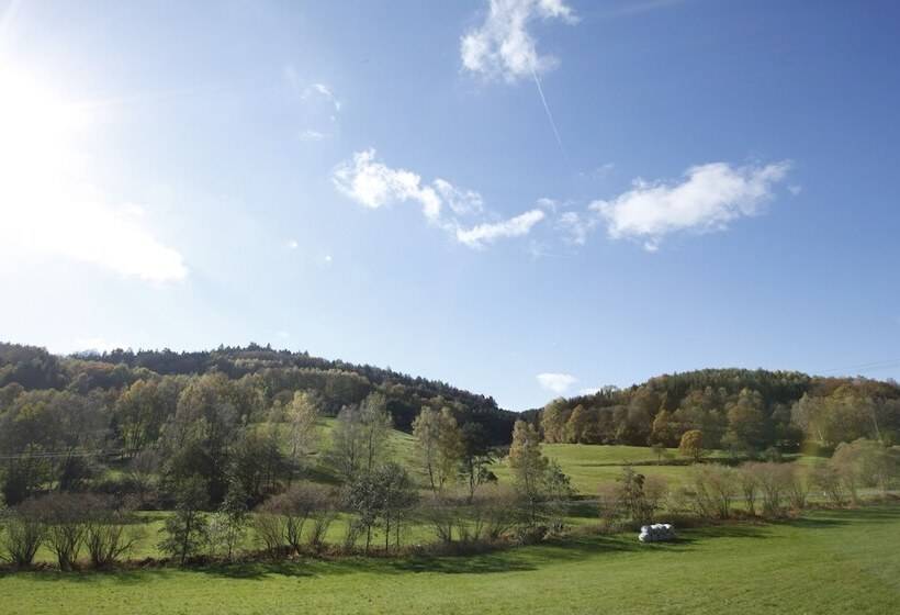 Отель Florsbacher Hof