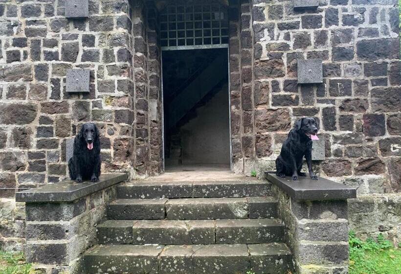 Отель Forsthaus