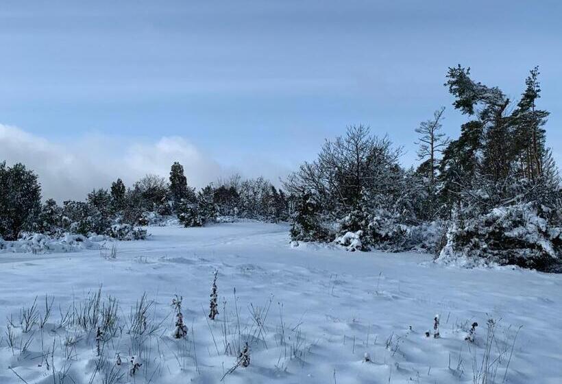 Отель Forsthaus