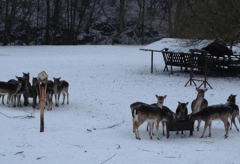 Отель Forsthaus