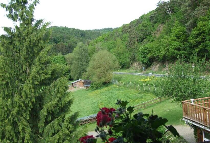 Отель Forsthaus