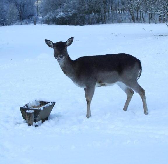 Отель Forsthaus