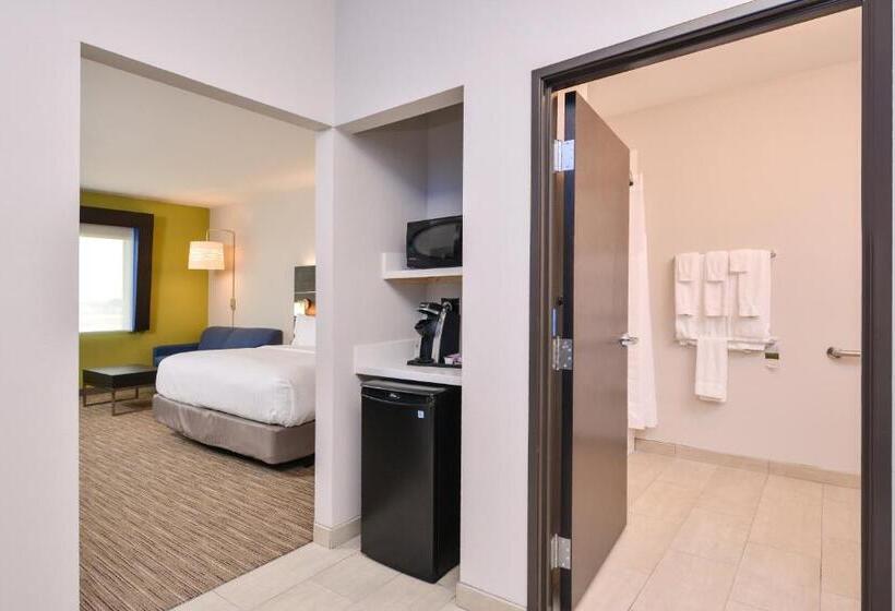 בית מלון כפרי Holiday Inn Express Donaldsonville, An Ihg