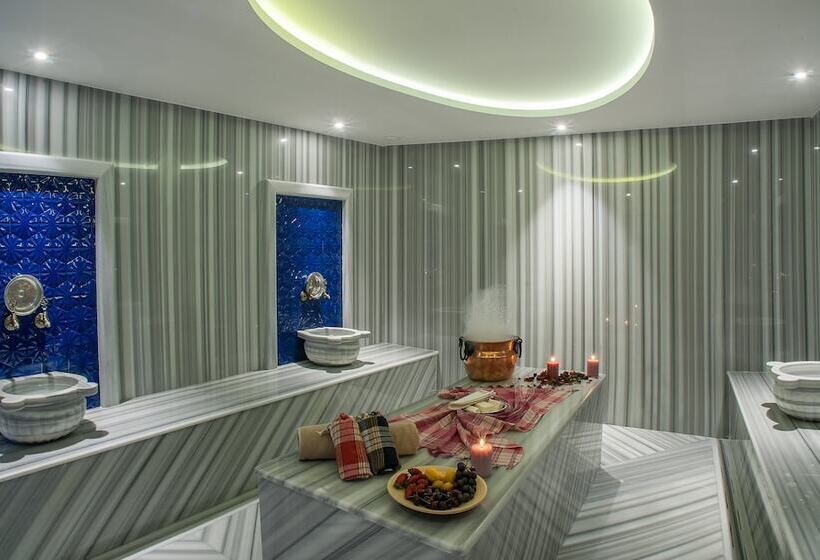 Отель Holiday Inn Istanbul Tuzla Bay, An Ihg