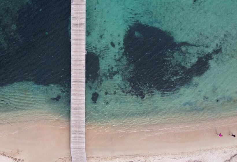 호텔 Hôtel De Porticcio