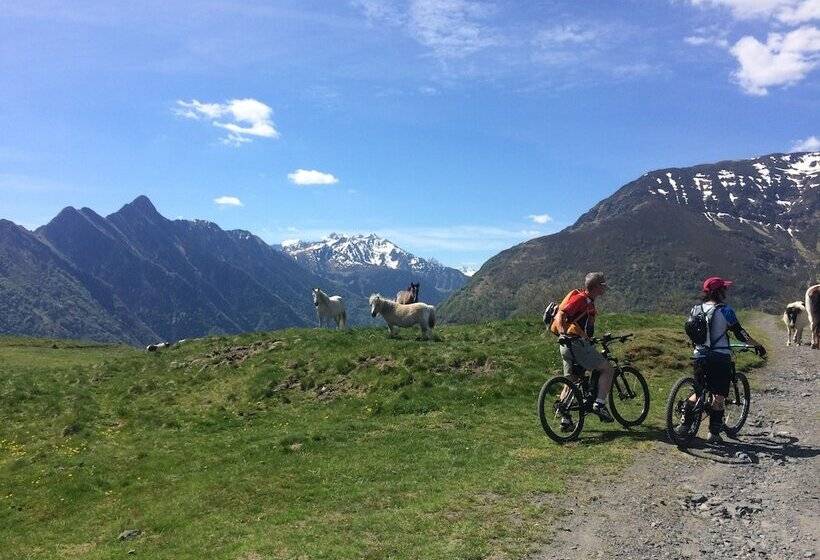 ホテル Restaurant Les Edelweiss