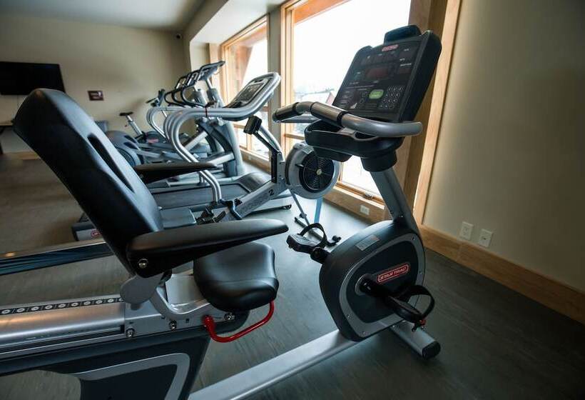 Moose Hotel And Suites