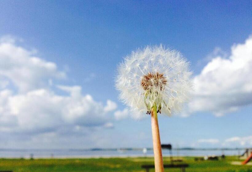 בית מלון כפרי Restaurant Ostsee Anker