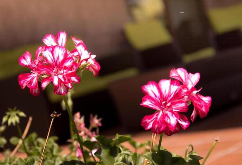 בית מלון כפרי Piramide 2