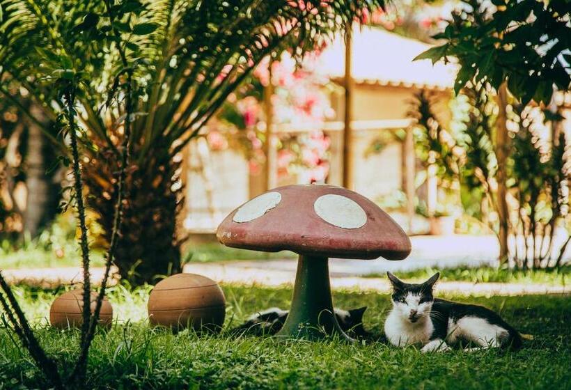 ホテル Pousada Boa Vista