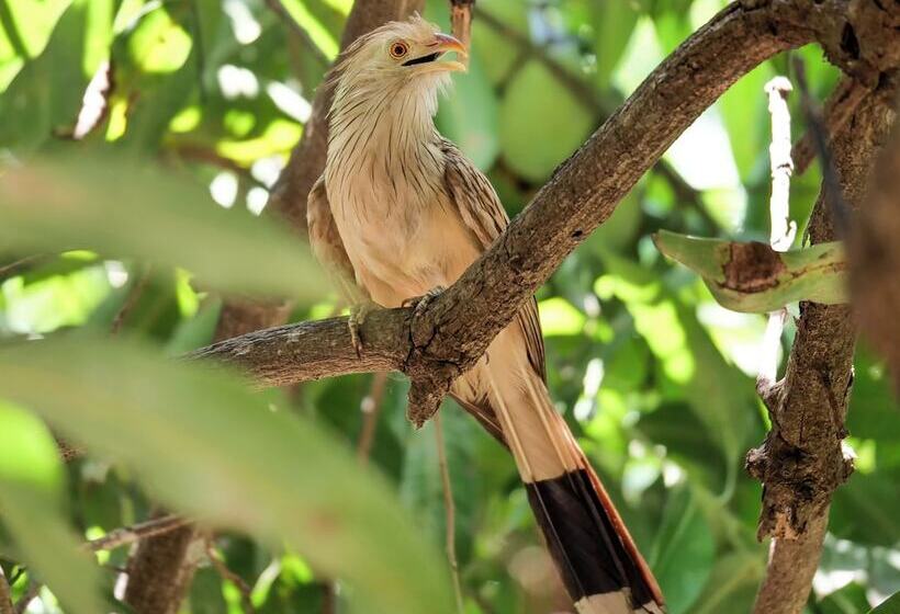 酒店 Pousada Galeria Artes