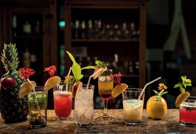 酒店 Pousada Galeria Artes