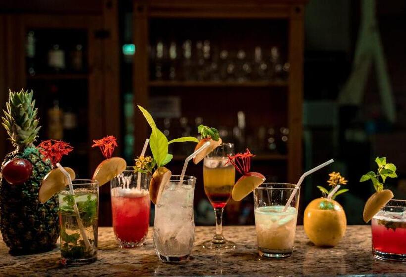 酒店 Pousada Galeria Artes