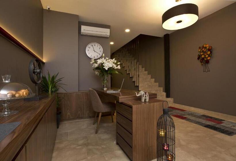 فندق Snog Rooms & Suites