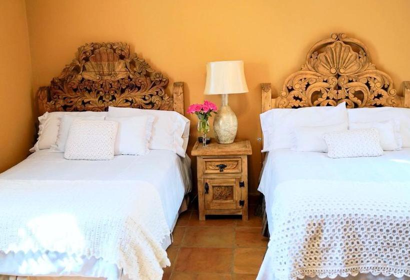 Fotos del hotel Tadeo Inn Bed & Breakfast:  30