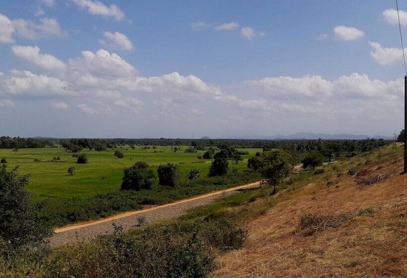 酒店 The Green Guest House