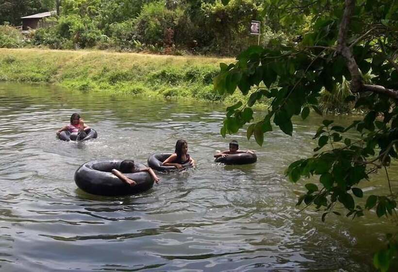 酒店 The Green Guest House