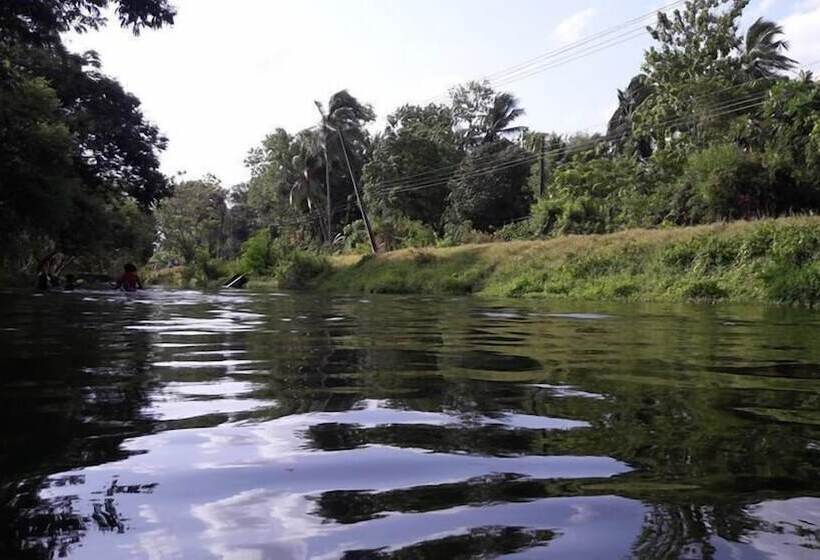 酒店 The Green Guest House