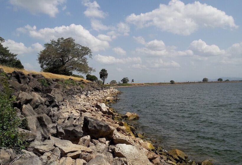 酒店 The Green Guest House