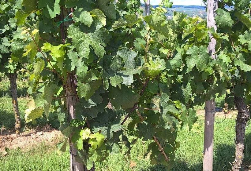 ホテル Zur Brücke