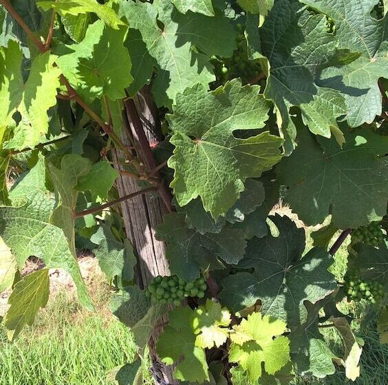 Отель Zur Brücke