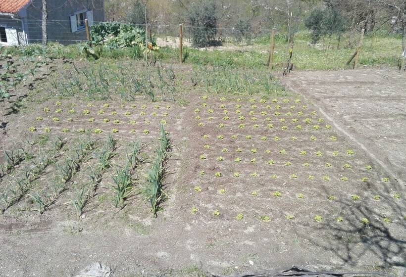 I Love Dao  Casas Da Fraga