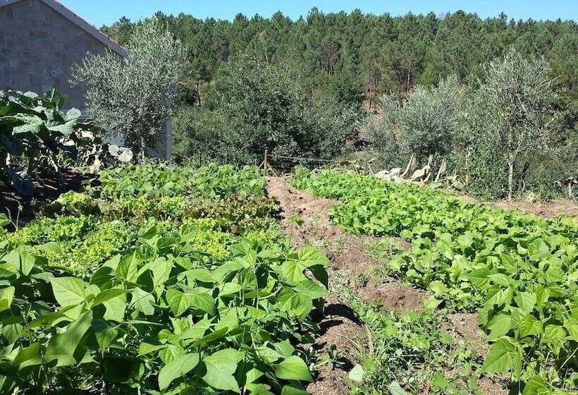 I Love Dao  Casas Da Fraga