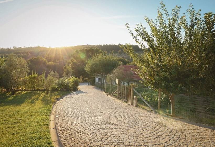 I Love Dao  Casas Da Fraga