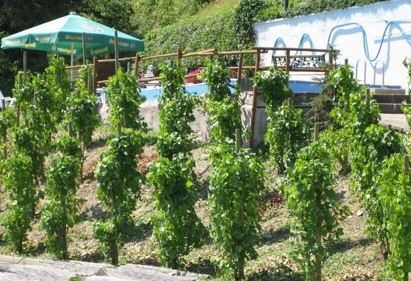 Landhotel Weinhaus Treis