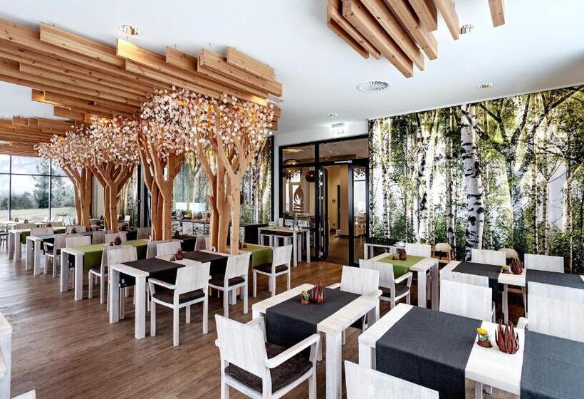 Panorama Hotel Aschberg