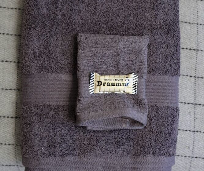 Pension (Hôtel basse catégorie) Freyja Guesthouse & Suites