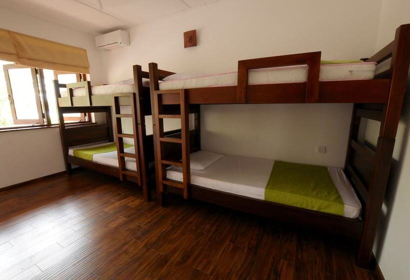 بنسيون Halcyon House Colombo