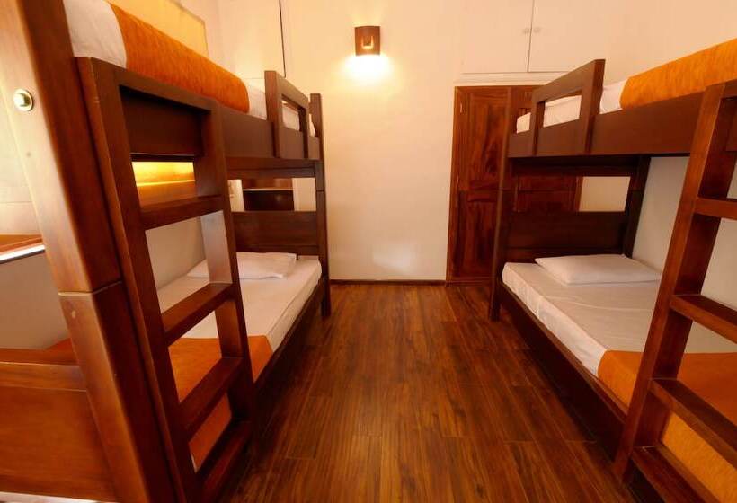 بنسيون Halcyon House Colombo