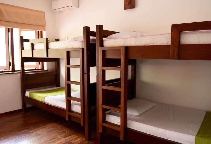 بنسيون Halcyon House Colombo