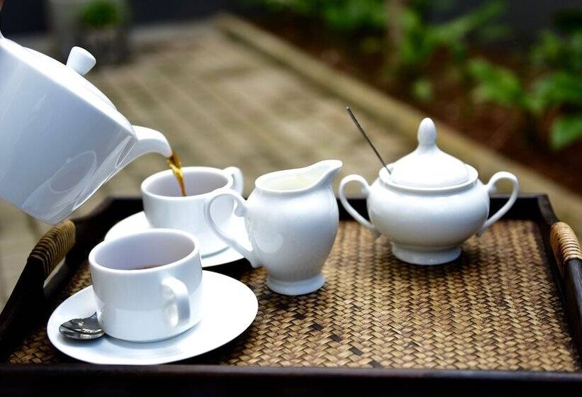 بنسيون Halcyon House Colombo