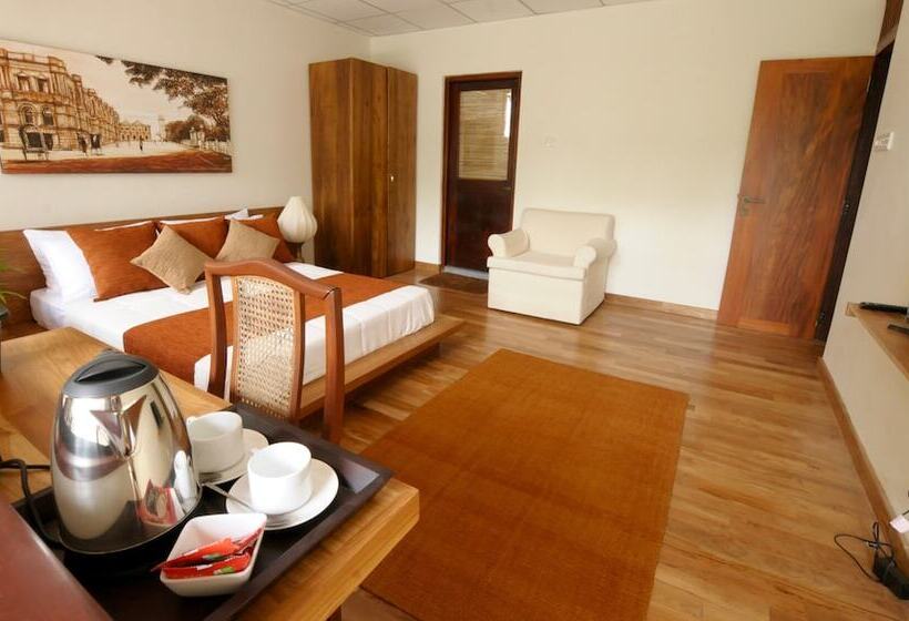 بنسيون Halcyon House Colombo