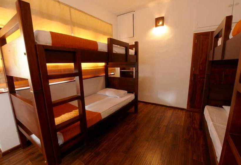 بنسيون Halcyon House Colombo