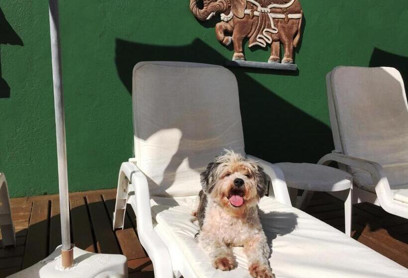 ペンション Pousada Pura Vida Maresias