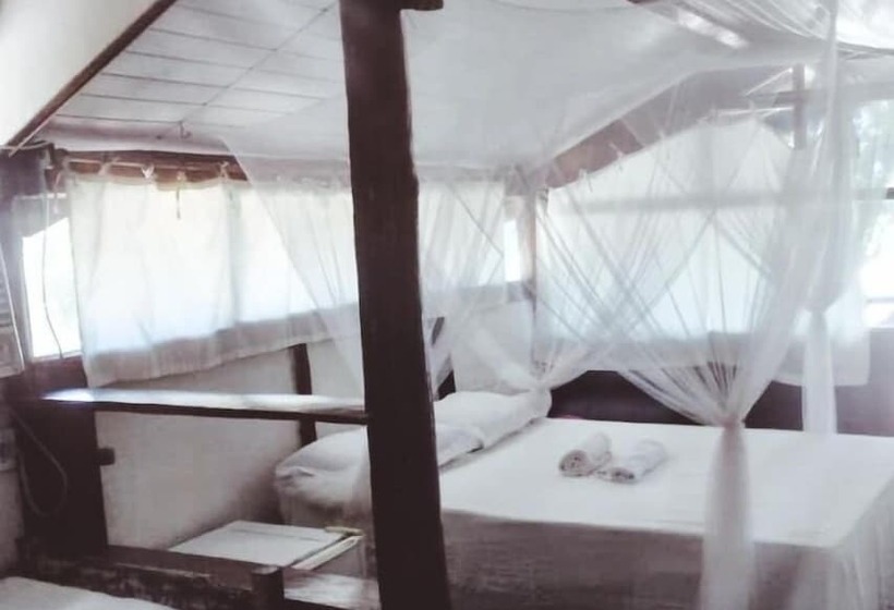 بنسيون Pousada Terral Surf