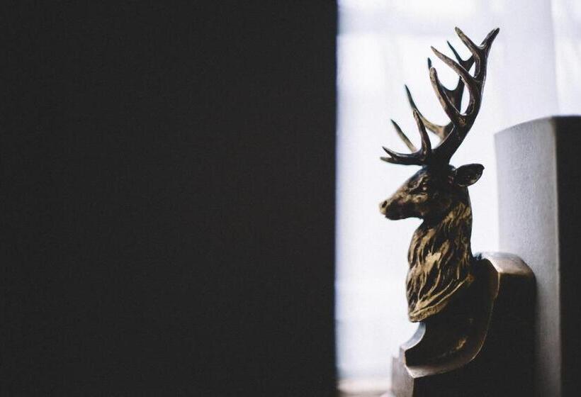 بنسيون The Stag At Stow