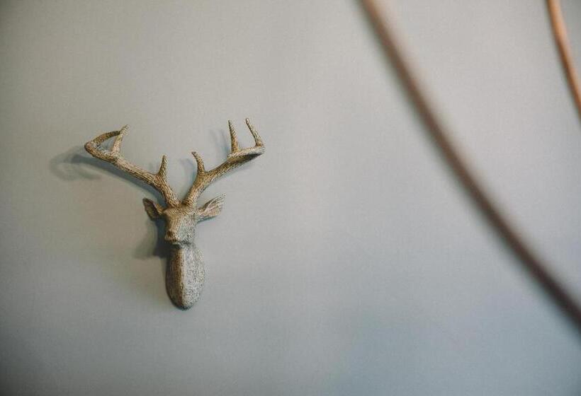 بنسيون The Stag At Stow