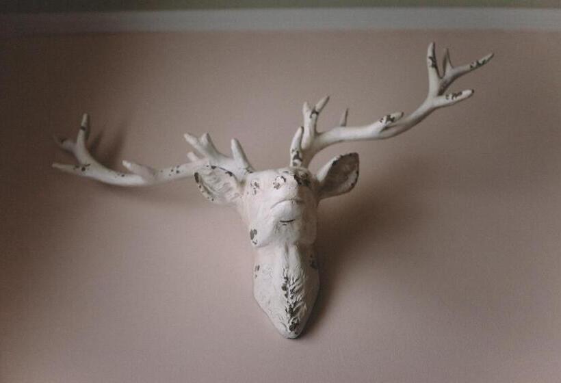 بنسيون The Stag At Stow