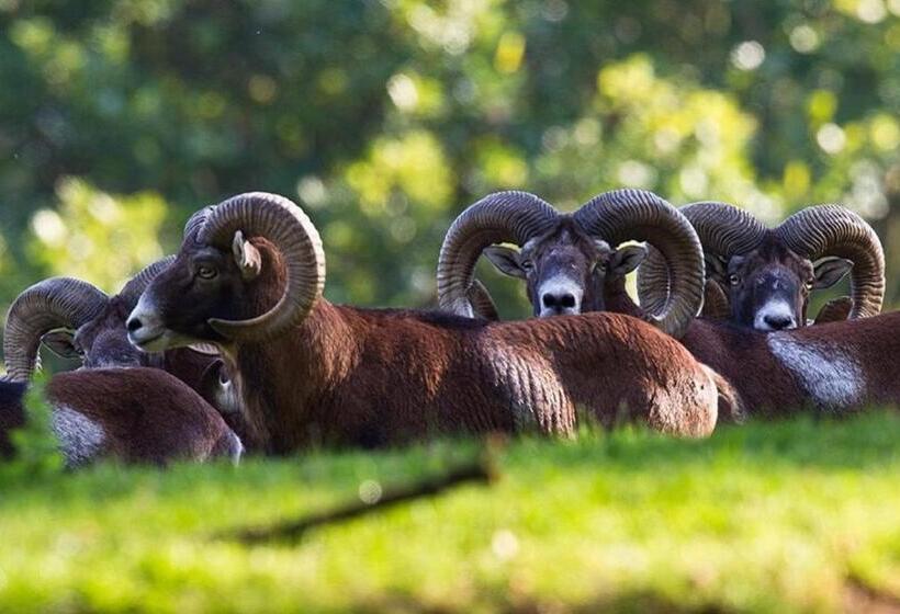 Reit Und Sporthotel Nordmann