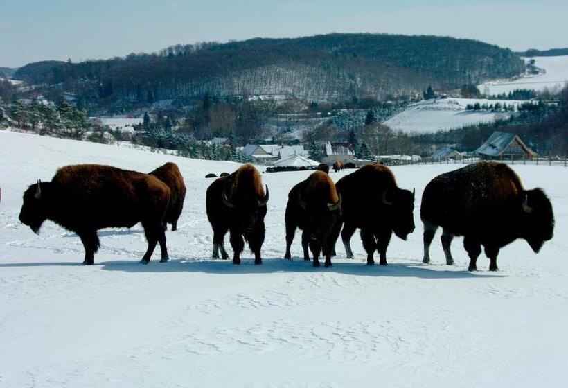 Reit Und Sporthotel Nordmann
