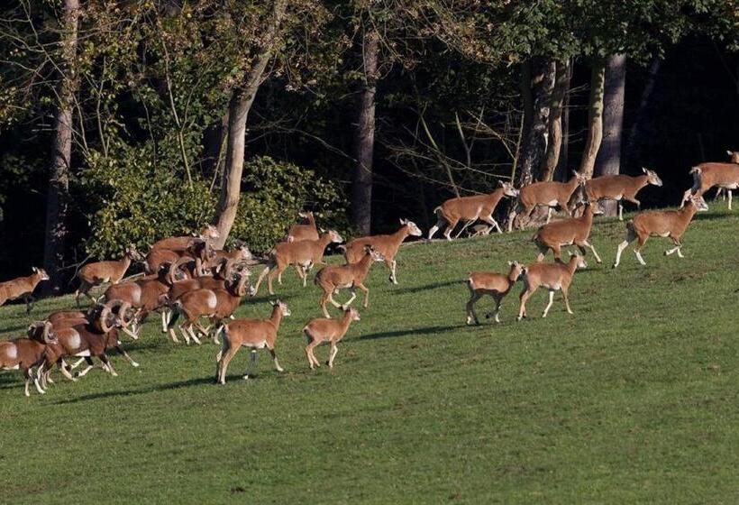 Reit Und Sporthotel Nordmann