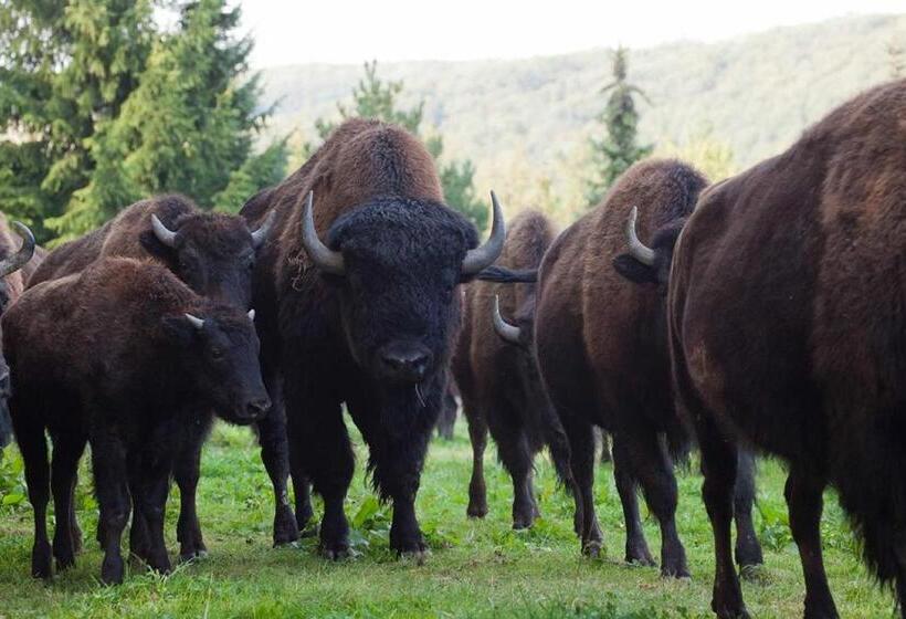 Reit Und Sporthotel Nordmann